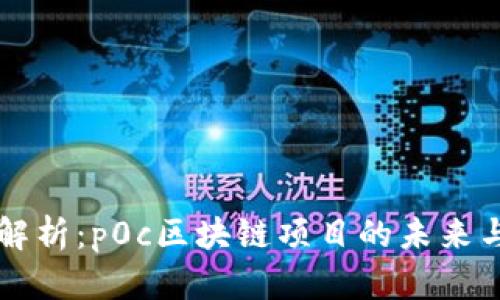 深入解析：p0c区块链项目的未来与潜力