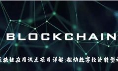 : 区块链应用试点项目详解