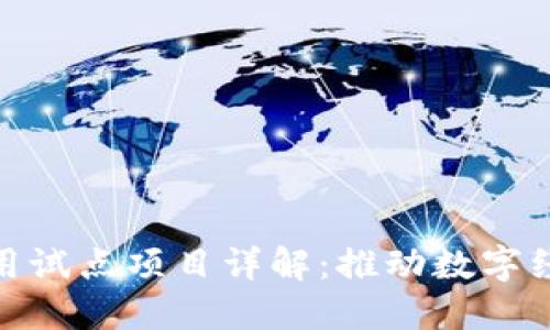 : 区块链应用试点项目详解：推动数字经济转型之路